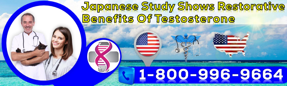 japanese study shows restorative benefits of testosterone