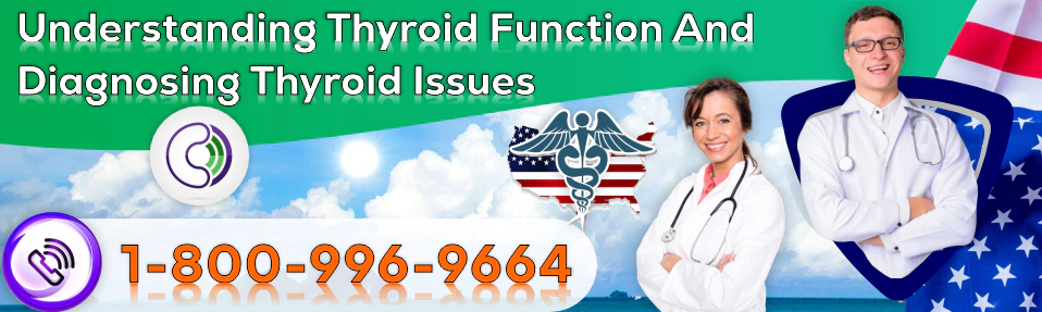 understanding thyroid function and diagnosing thyroid issues