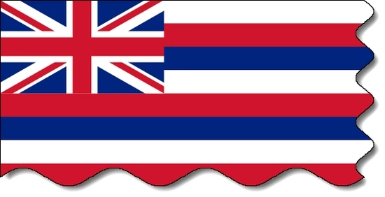 Hawaii state flag, medical clinics