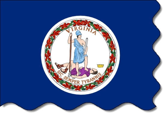 Virginia state flag, medical clinics