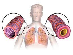 asthma lungs