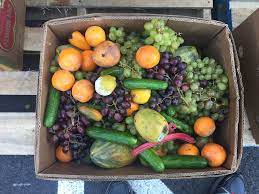 colorful vegetables and fruits