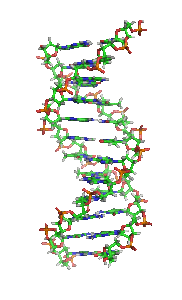 dna