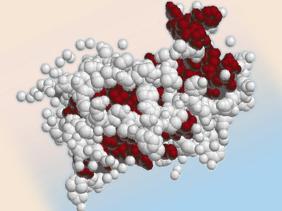 hgh molecule - male blood panel