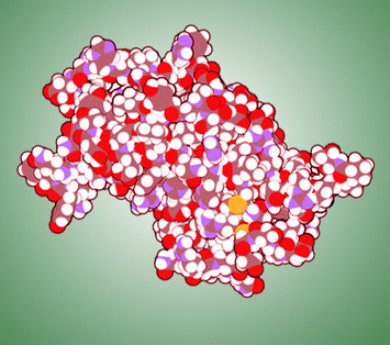 HGH Molecule On Introduction