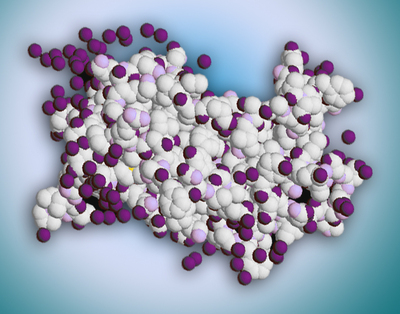 hgh molecule - injection protocols