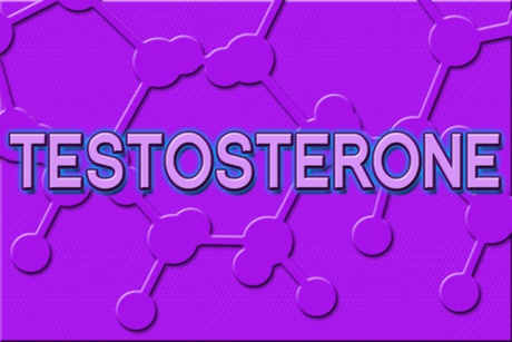 Increasing Levels Testosterone Naturally