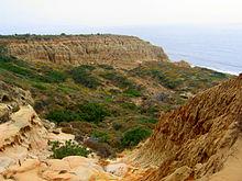 Torrey Pines State Park Valley