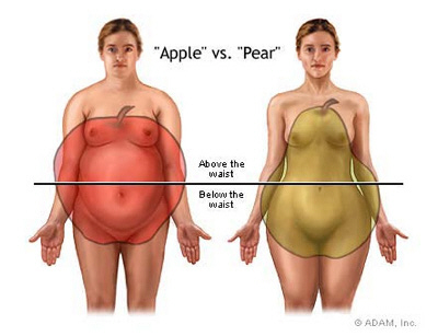 body shapes compared to the apple and pear