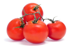 tomatoes