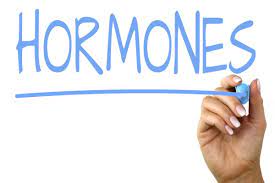 Hormones image